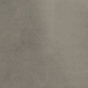 PARIS ELEPHANT (velvet) 